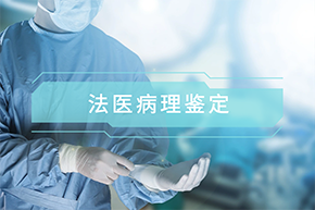 金年会金字招牌信誉至上